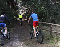 MTB in Pineta