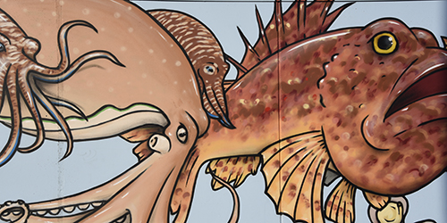 Cibo - IL CACCIUCCO VIAREGGINO